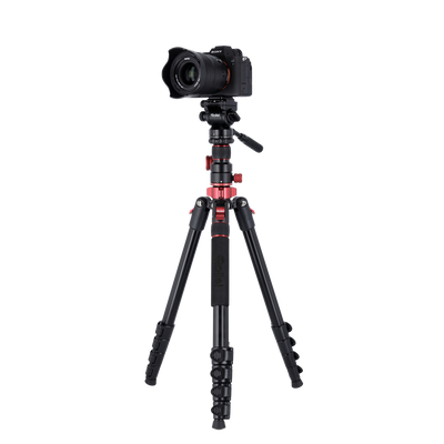 Tripod I Compact Traveler No.2 XL I Video