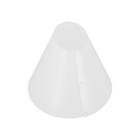 light cone