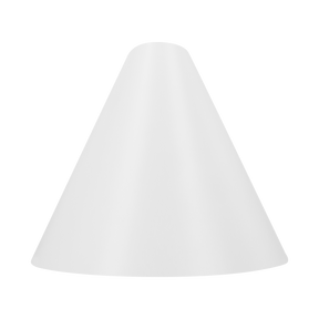 light cone
