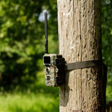 Wild camera 4G Simconnect