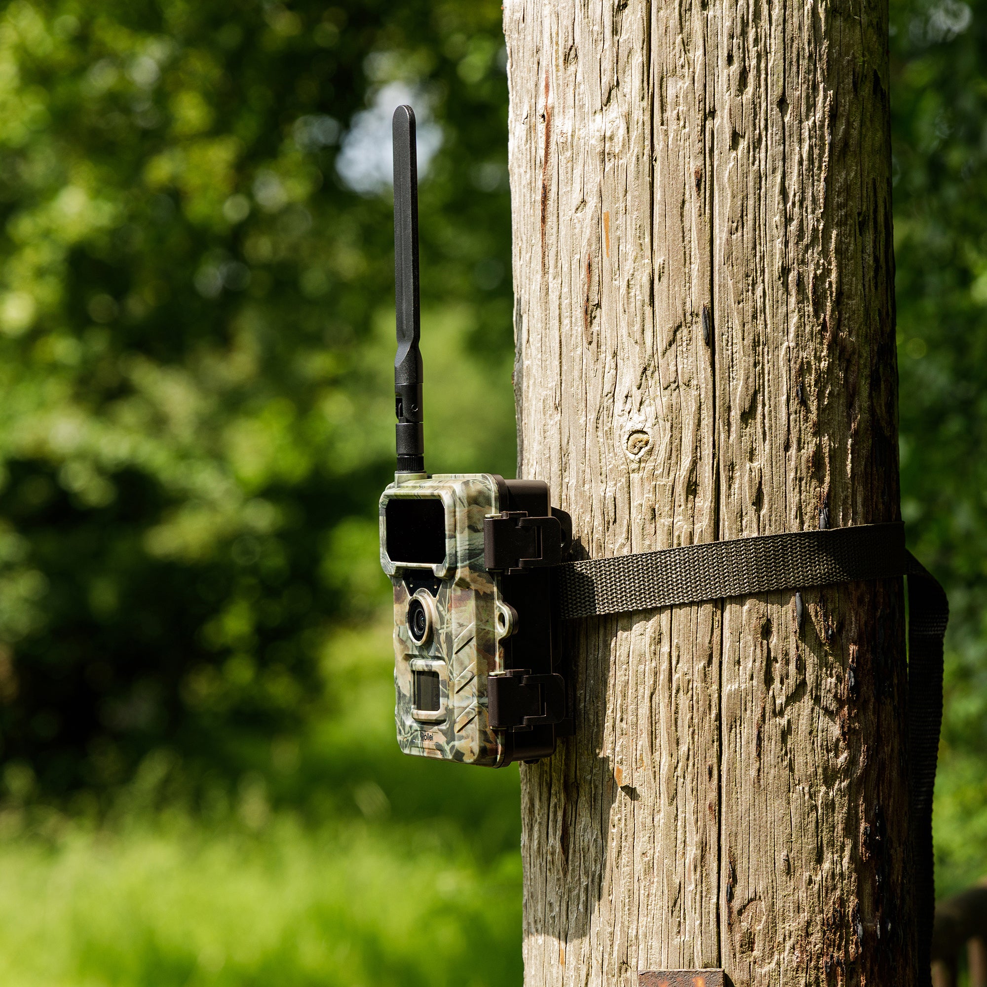 Trail Camera 4G SIMConnect