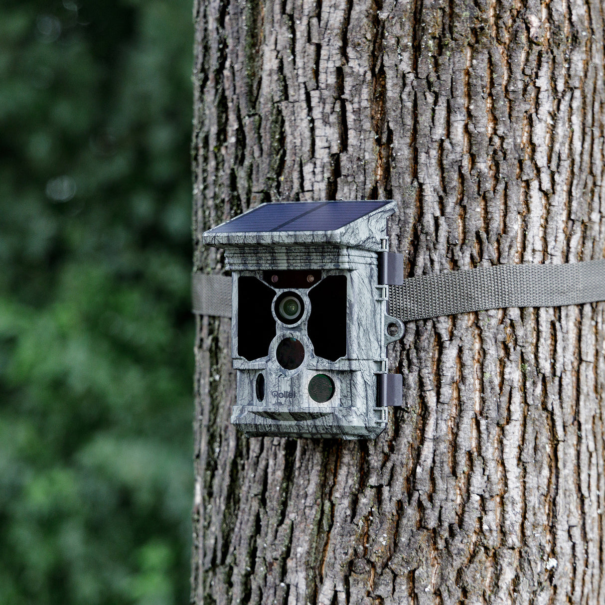 Wildkamera 4K WiFi Solar
