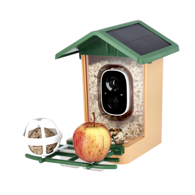 Smart AI Birdhouse 3K