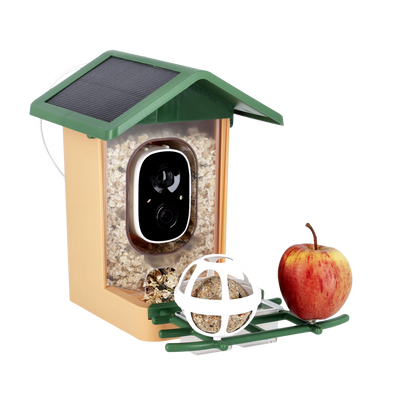 Smart AI Birdhouse 3K