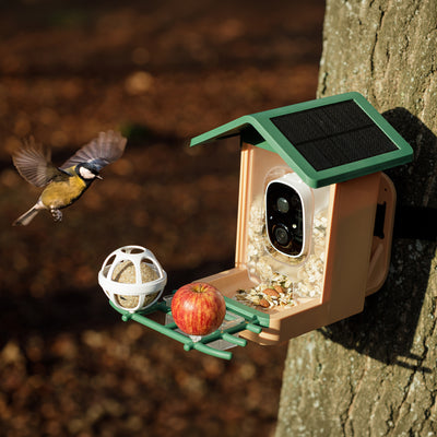Smart AI Vogelhäuschen 3K