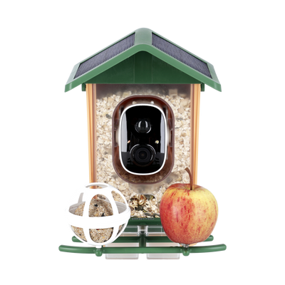 Smart AI Birdhouse 3K