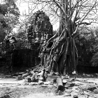 RETRO Schwarzweiß-Negativfilm | 35 mm & Rollfilm | ISO 80 / 400