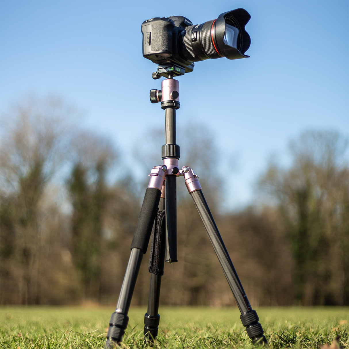 C5i Rose Gold - Carbon Tripod