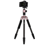 C5i Rose Gold - Carbon Tripod