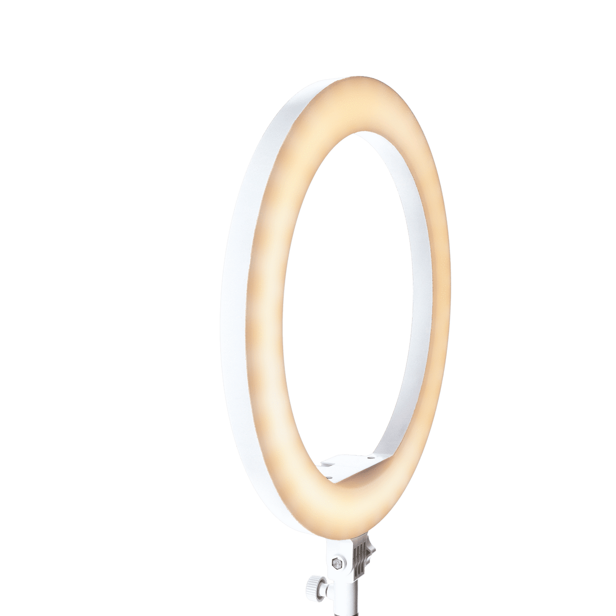 Rollei LED Licht B-Ware: LUMIS Slim RGB - LED-Ringlicht - Weiß