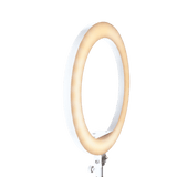 Rollei LED Licht B-Ware: LUMIS Slim RGB - LED-Ringlicht - Weiß
