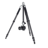 Rollei Stative Lion Rock Traveler L - Carbon Stativ